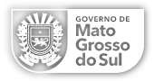 Governo do Estado